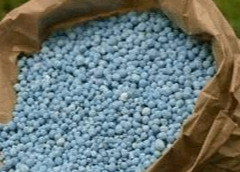 尿素多久被吸收？怎樣提高利用率？